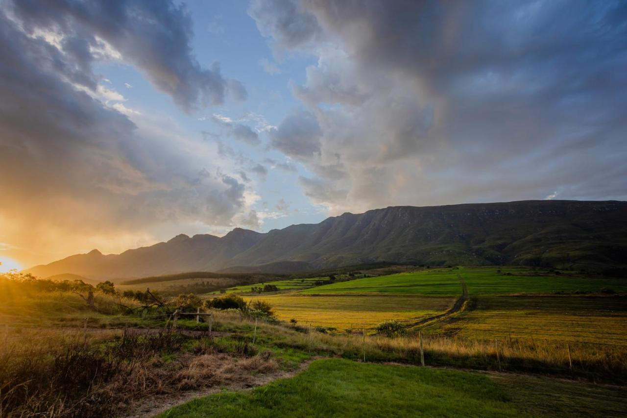 Villa Appelsbosch Guest Farm Swellendam Exterior foto
